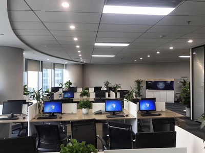 深耕区域，洞察市场 浙江杭鑫经济信息咨询的市场调查实践与价值